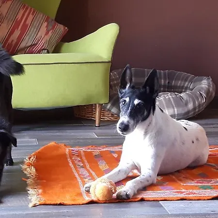 Szálloda Borgo Duino