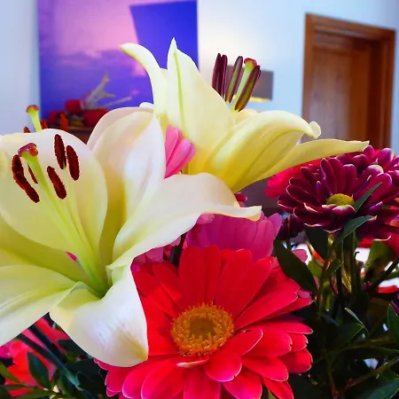 Hotel Borgo